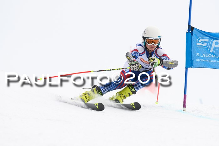 Dt. Schülercup U14 Finale, Riesenslalom, 03.03.2018