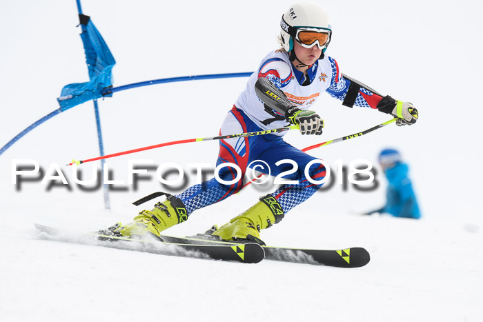 Dt. Schülercup U14 Finale, Riesenslalom, 03.03.2018