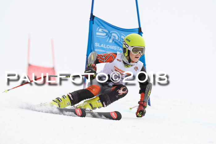 Dt. Schülercup U14 Finale, Riesenslalom, 03.03.2018