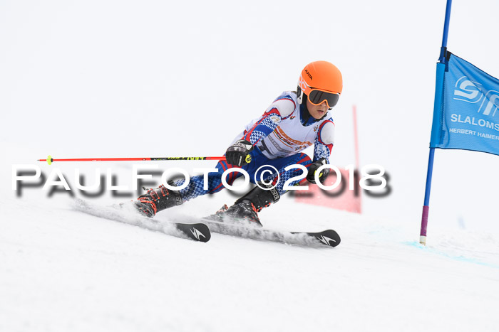 Dt. Schülercup U14 Finale, Riesenslalom, 03.03.2018