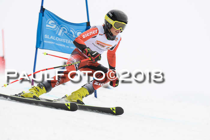 Dt. Schülercup U14 Finale, Riesenslalom, 03.03.2018