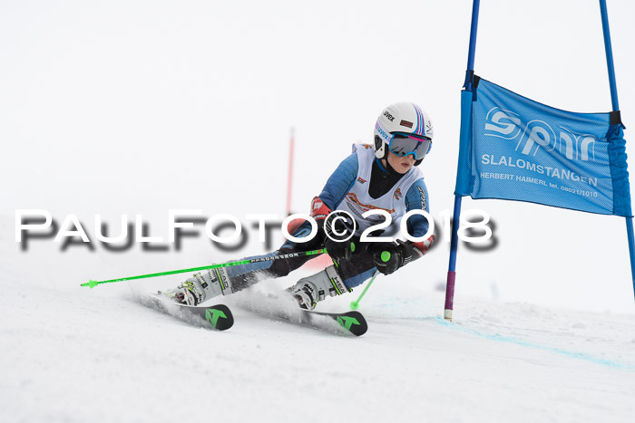 Dt. Schülercup U14 Finale, Riesenslalom, 03.03.2018