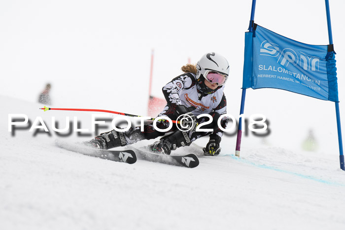 Dt. Schülercup U14 Finale, Riesenslalom, 03.03.2018