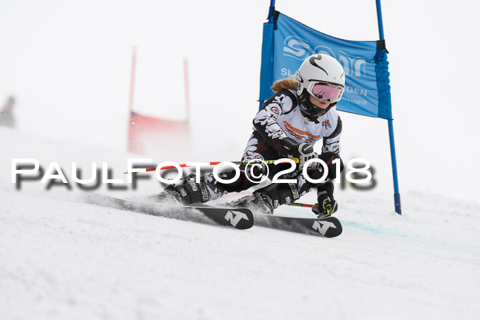 Dt. Schülercup U14 Finale, Riesenslalom, 03.03.2018