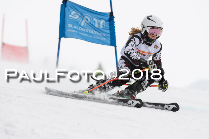 Dt. Schülercup U14 Finale, Riesenslalom, 03.03.2018