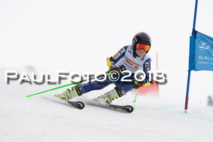 Dt. Schülercup U14 Finale, Riesenslalom, 03.03.2018