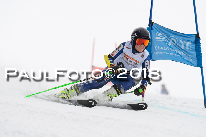 Dt. Schülercup U14 Finale, Riesenslalom, 03.03.2018