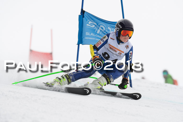 Dt. Schülercup U14 Finale, Riesenslalom, 03.03.2018