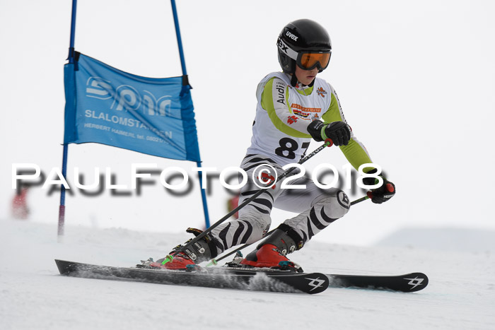 Dt. Schülercup U14 Finale, Riesenslalom, 03.03.2018
