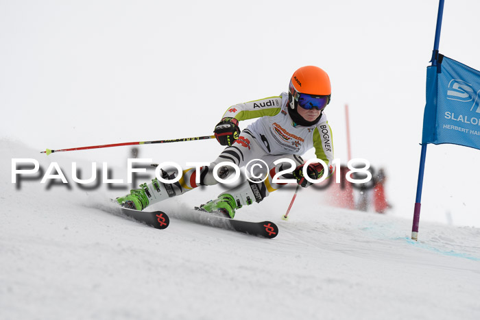 Dt. Schülercup U14 Finale, Riesenslalom, 03.03.2018