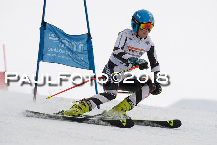 Dt. Schülercup U14 Finale, Riesenslalom, 03.03.2018
