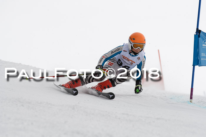 Dt. Schülercup U14 Finale, Riesenslalom, 03.03.2018