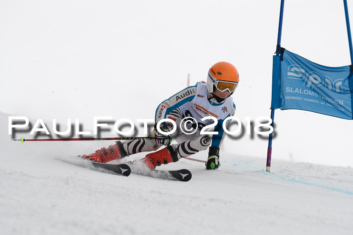 Dt. Schülercup U14 Finale, Riesenslalom, 03.03.2018