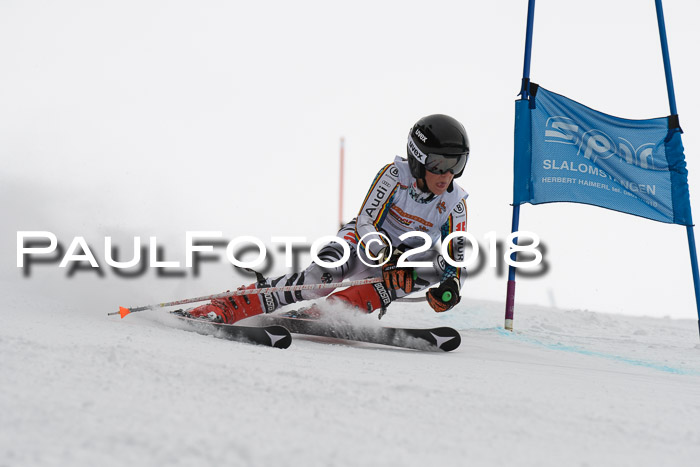 Dt. Schülercup U14 Finale, Riesenslalom, 03.03.2018