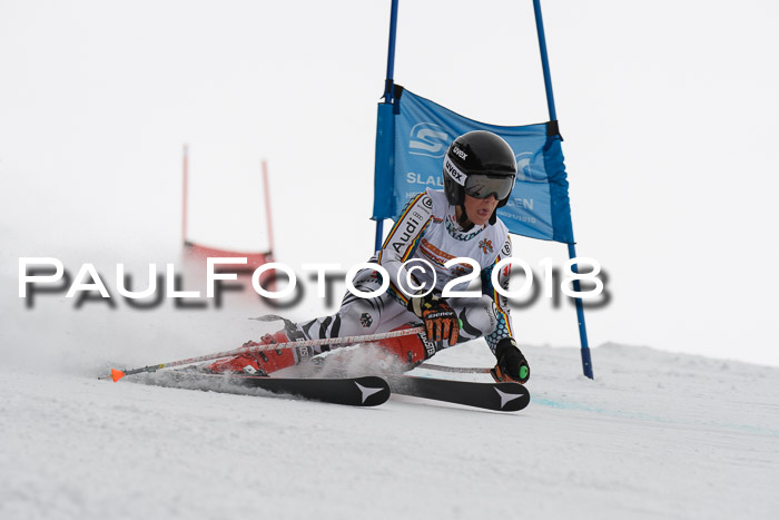 Dt. Schülercup U14 Finale, Riesenslalom, 03.03.2018