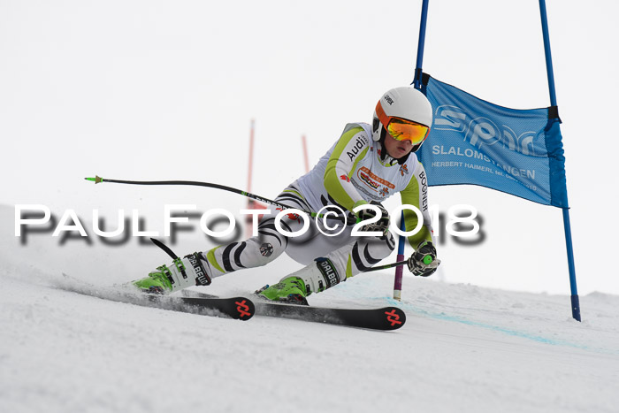 Dt. Schülercup U14 Finale, Riesenslalom, 03.03.2018