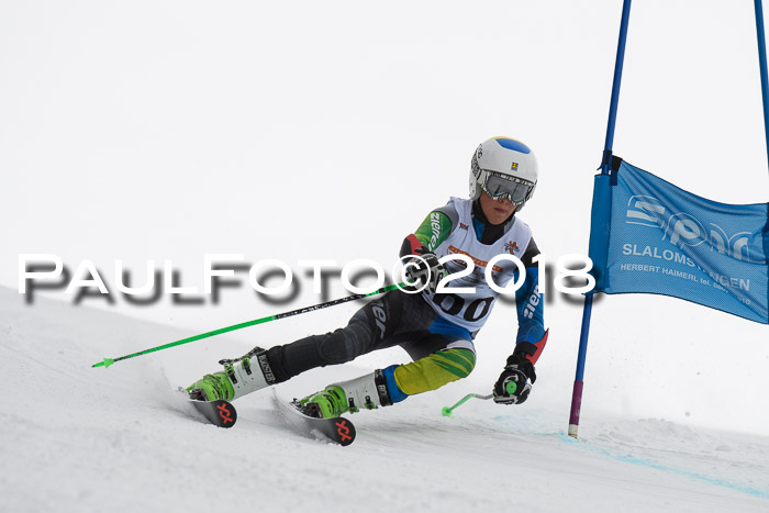 Dt. Schülercup U14 Finale, Riesenslalom, 03.03.2018