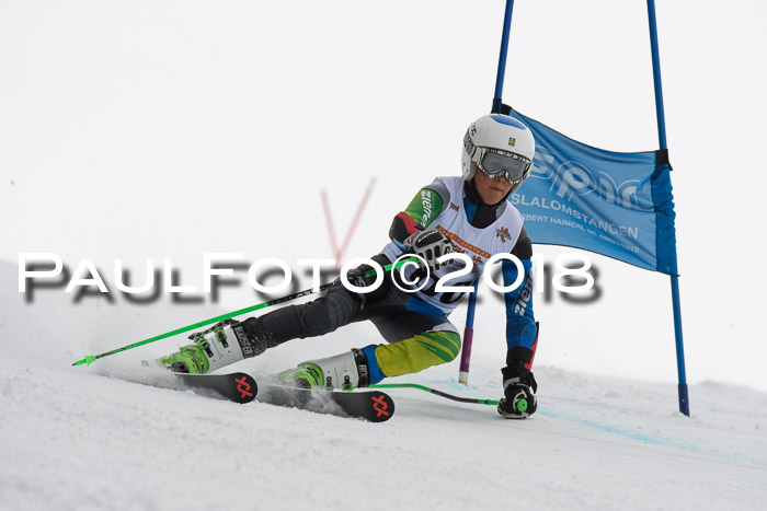 Dt. Schülercup U14 Finale, Riesenslalom, 03.03.2018