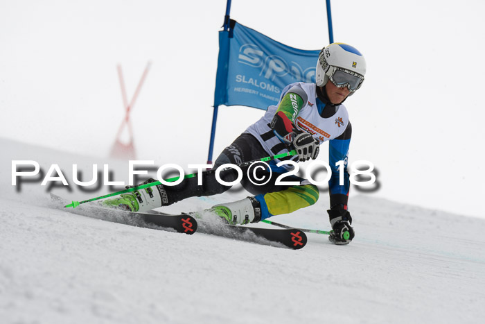 Dt. Schülercup U14 Finale, Riesenslalom, 03.03.2018