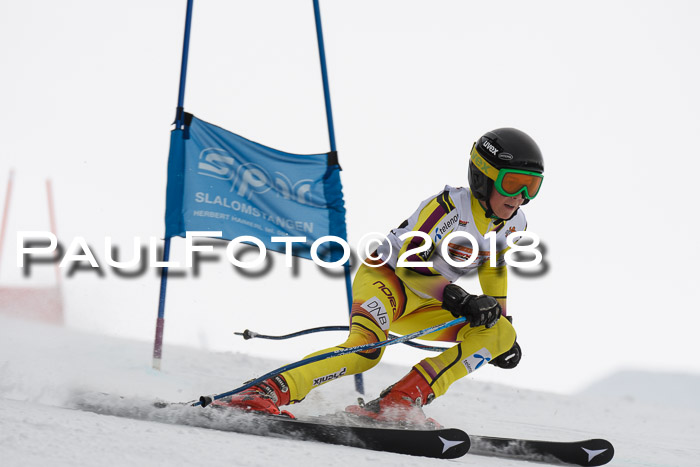 Dt. Schülercup U14 Finale, Riesenslalom, 03.03.2018
