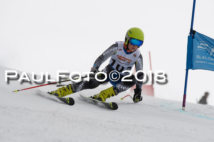 Dt. Schülercup U14 Finale, Riesenslalom, 03.03.2018