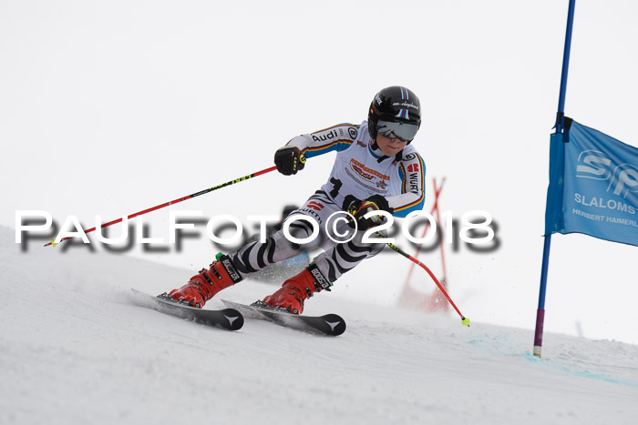 Dt. Schülercup U14 Finale, Riesenslalom, 03.03.2018