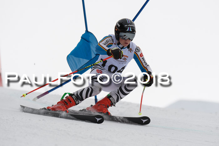 Dt. Schülercup U14 Finale, Riesenslalom, 03.03.2018