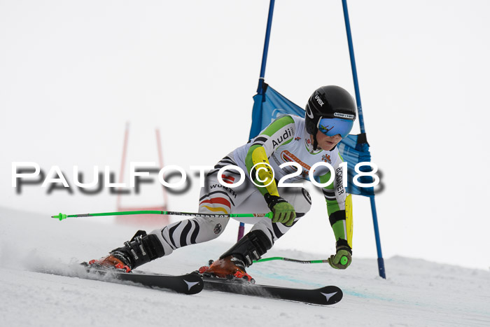 Dt. Schülercup U14 Finale, Riesenslalom, 03.03.2018