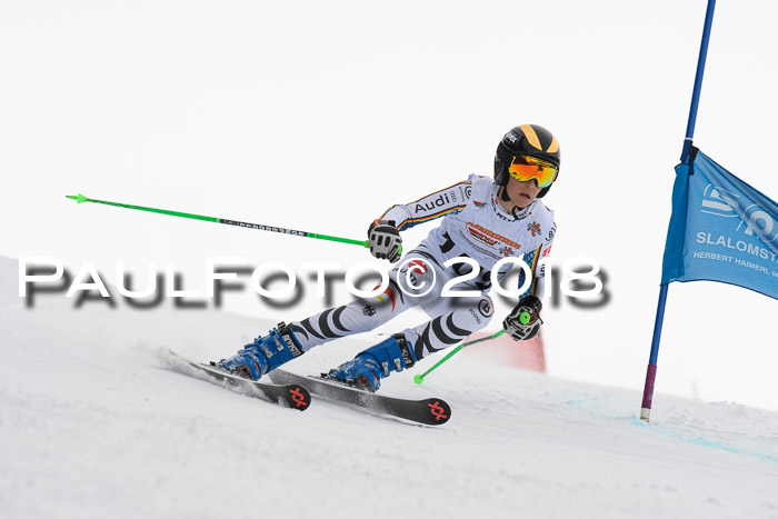 Dt. Schülercup U14 Finale, Riesenslalom, 03.03.2018