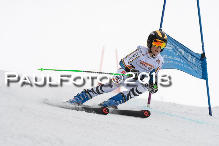 Dt. Schülercup U14 Finale, Riesenslalom, 03.03.2018