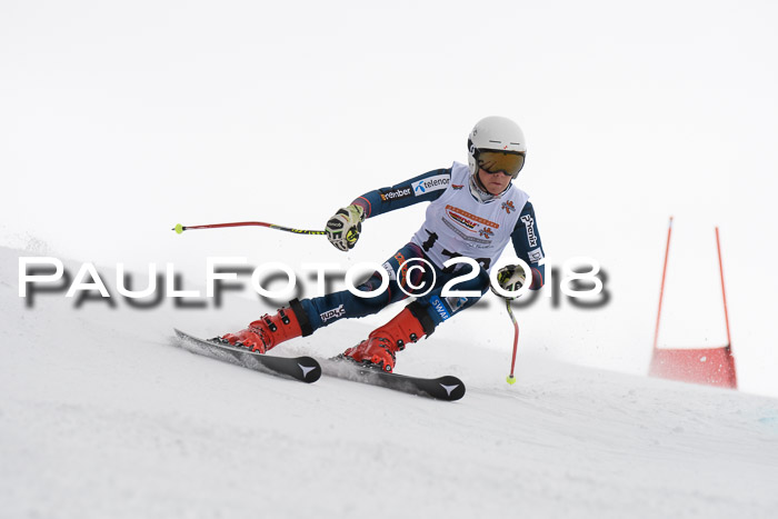 Dt. Schülercup U14 Finale, Riesenslalom, 03.03.2018