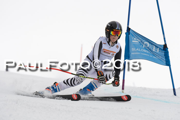 Dt. Schülercup U14 Finale, Riesenslalom, 03.03.2018