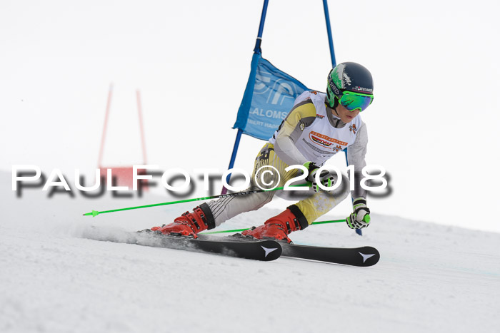Dt. Schülercup U14 Finale, Riesenslalom, 03.03.2018