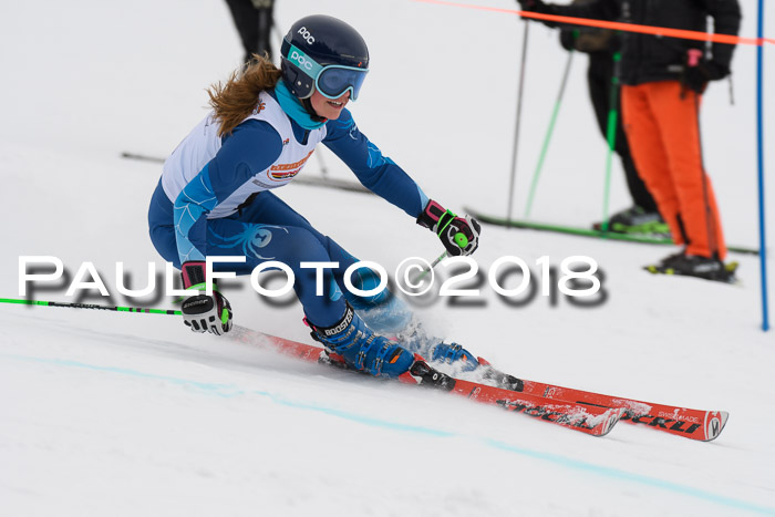 Dt. Schülercup U14 Finale, Riesenslalom, 03.03.2018