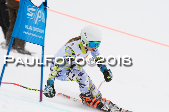 Dt. Schülercup U14 Finale, Riesenslalom, 03.03.2018