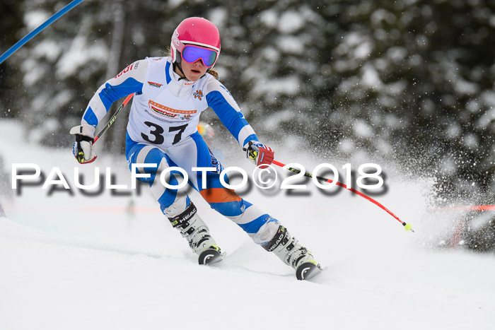 Dt. Schülercup U14 Finale, Riesenslalom, 03.03.2018