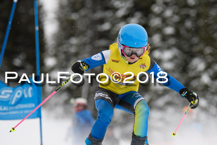 Dt. Schülercup U14 Finale, Riesenslalom, 03.03.2018