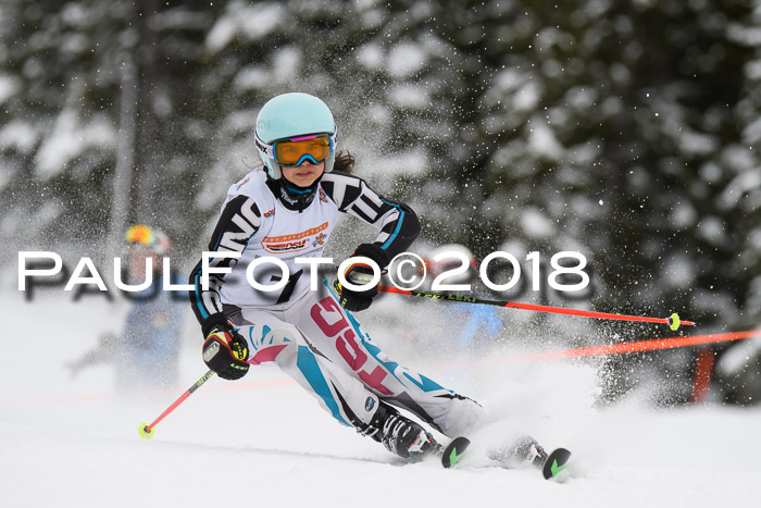 Dt. Schülercup U14 Finale, Riesenslalom, 03.03.2018