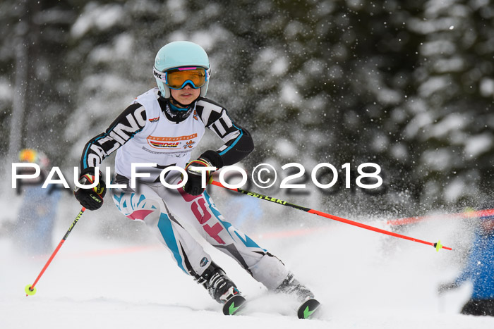 Dt. Schülercup U14 Finale, Riesenslalom, 03.03.2018