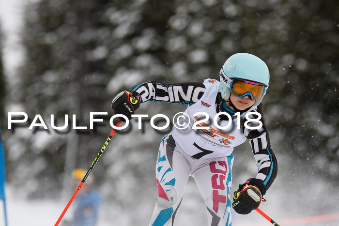 Dt. Schülercup U14 Finale, Riesenslalom, 03.03.2018