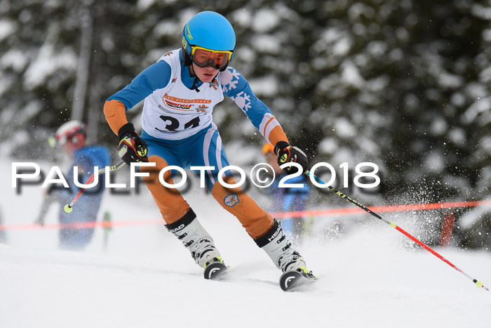 Dt. Schülercup U14 Finale, Riesenslalom, 03.03.2018