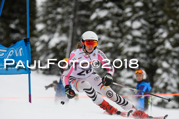 Dt. Schülercup U14 Finale, Riesenslalom, 03.03.2018