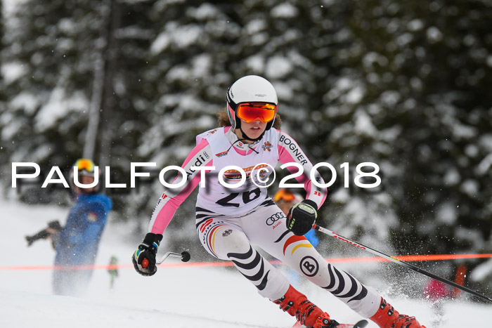 Dt. Schülercup U14 Finale, Riesenslalom, 03.03.2018