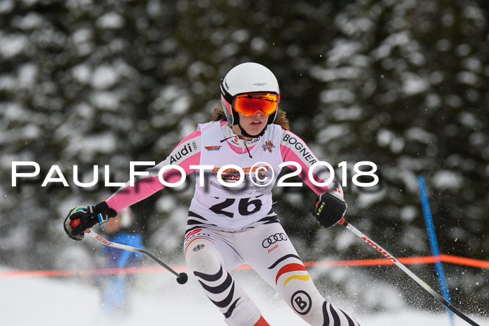 Dt. Schülercup U14 Finale, Riesenslalom, 03.03.2018