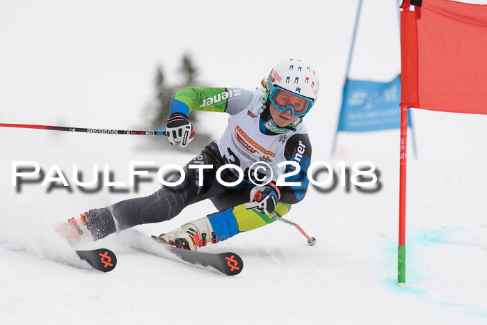 Dt. Schülercup U14 Finale, Riesenslalom, 03.03.2018