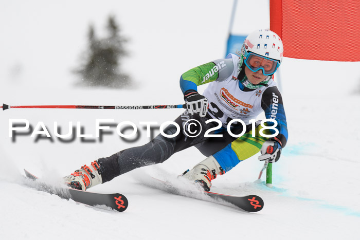 Dt. Schülercup U14 Finale, Riesenslalom, 03.03.2018