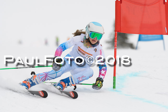 Dt. Schülercup U14 Finale, Riesenslalom, 03.03.2018