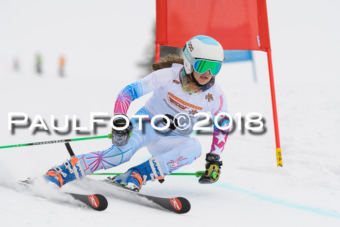 Dt. Schülercup U14 Finale, Riesenslalom, 03.03.2018