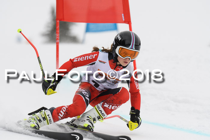 Dt. Schülercup U14 Finale, Riesenslalom, 03.03.2018