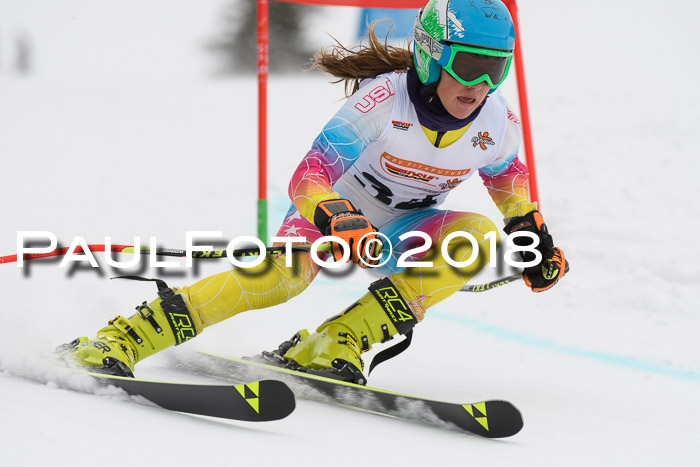 Dt. Schülercup U14 Finale, Riesenslalom, 03.03.2018